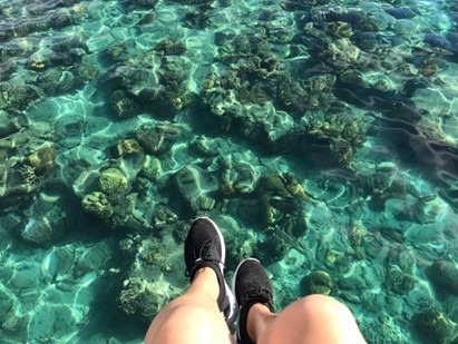 整个大堡礁都是我的游乐场 ——海岛篇