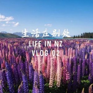 NZ week2｜遇见了最美的天，最蓝的湖和最可爱的你们