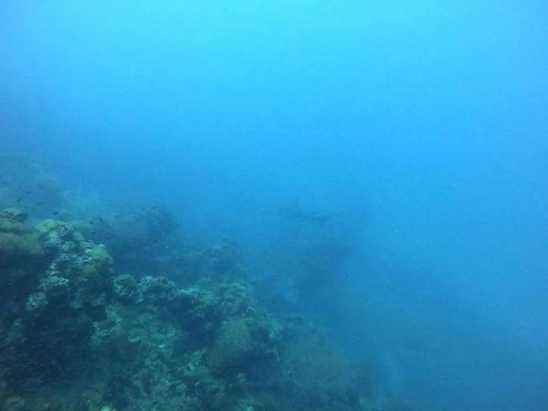 世界十大沉船潜点之一，来大堡礁邂逅土澳的泰坦尼克号