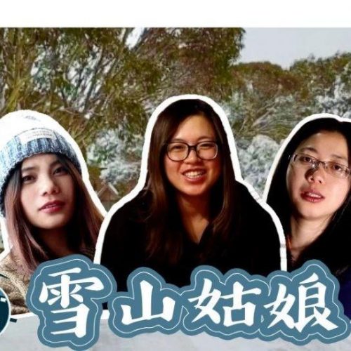 WHV纪录片第三集《雪山姑娘》—我在澳洲打工度假