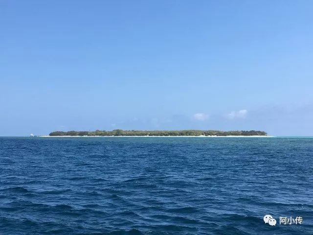 旅居海岛｜Heron Island（赫伦岛）