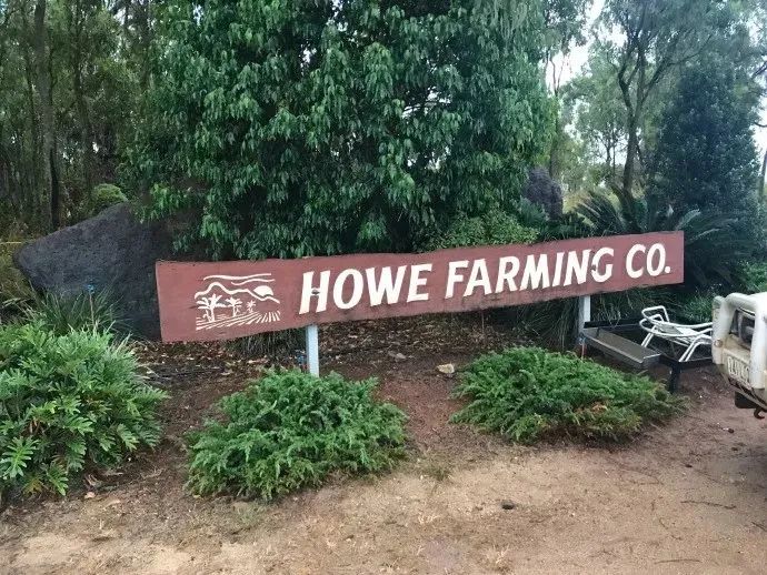 土澳五星农场之：Howe Farm香蕉厂 集二签篇