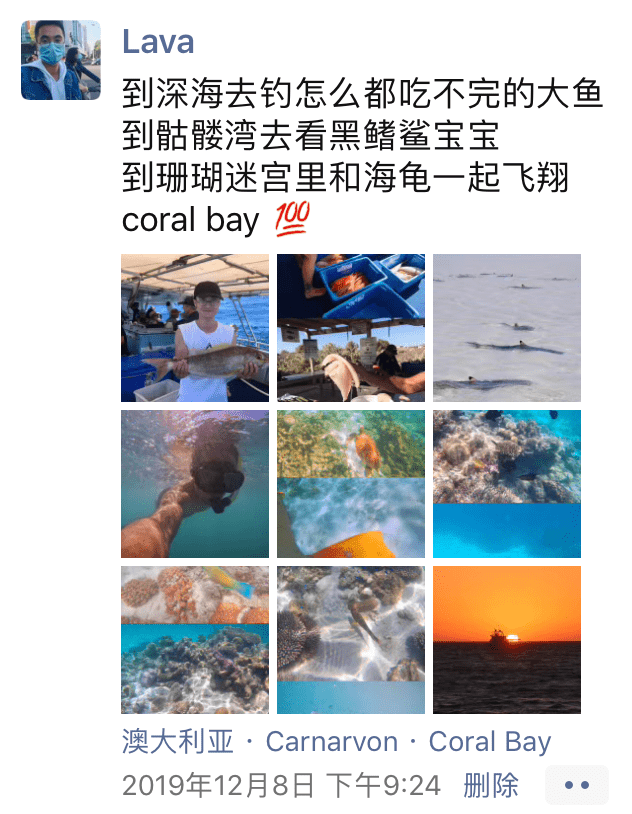 Coral Bay | 与大海热恋的日子