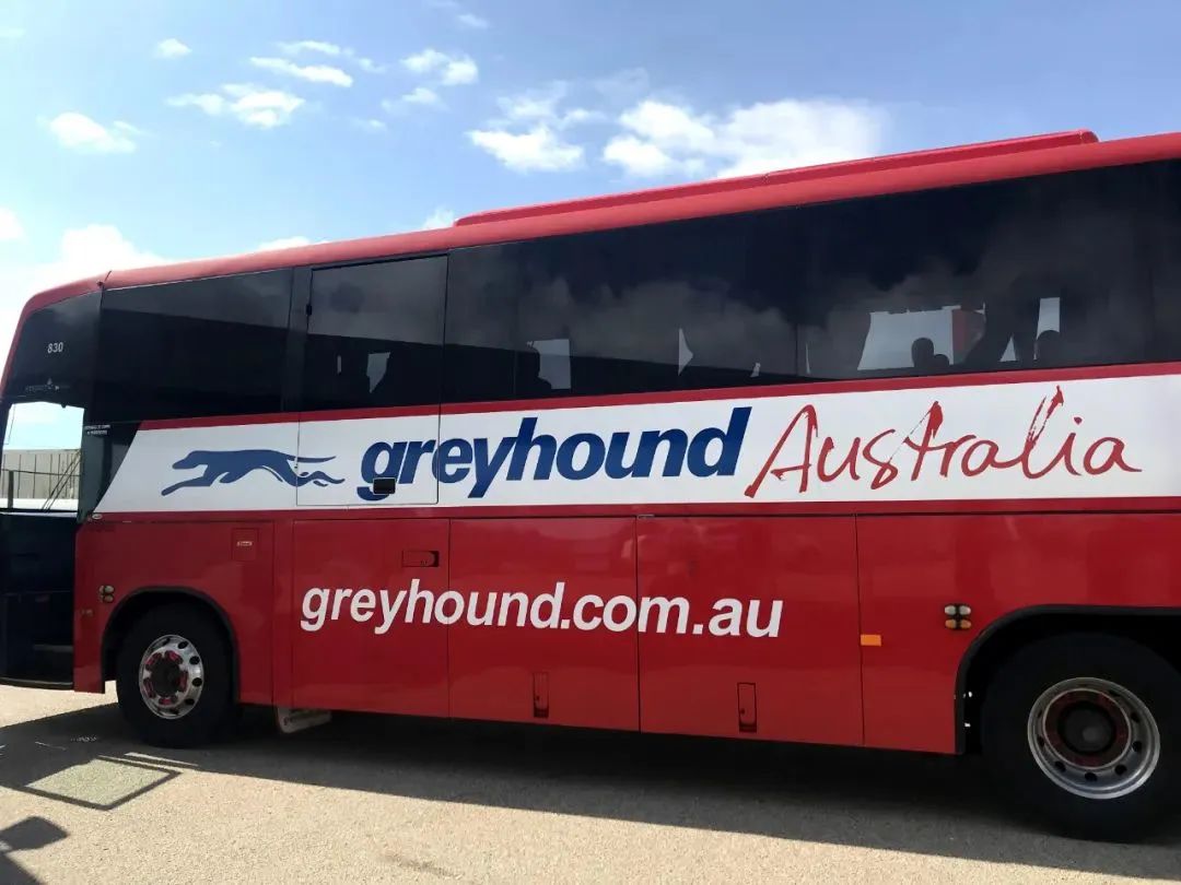坐上澳洲灰狗巴士玩转昆士兰州，景点路线种草ing