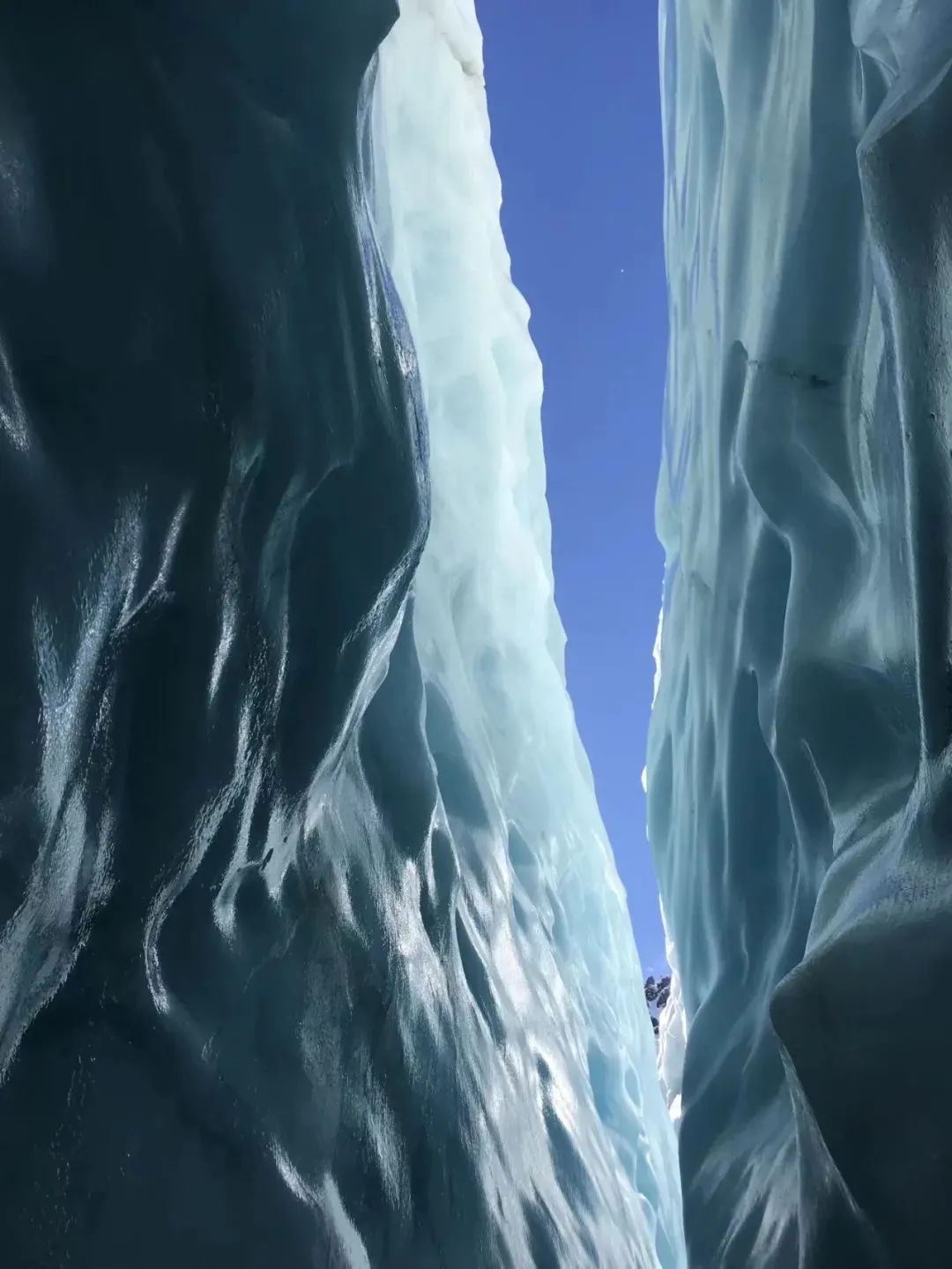 新西兰南岛冰川徒步背后的故事