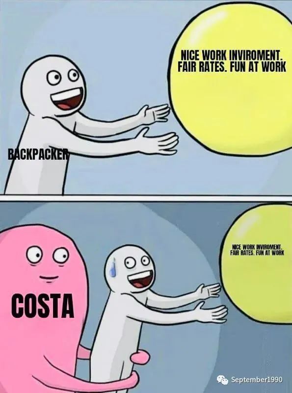 Costa给了你这些，你如何给Costa开feedback?