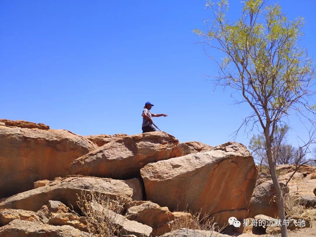澳洲土著的日常：在红土沙漠里打猎...