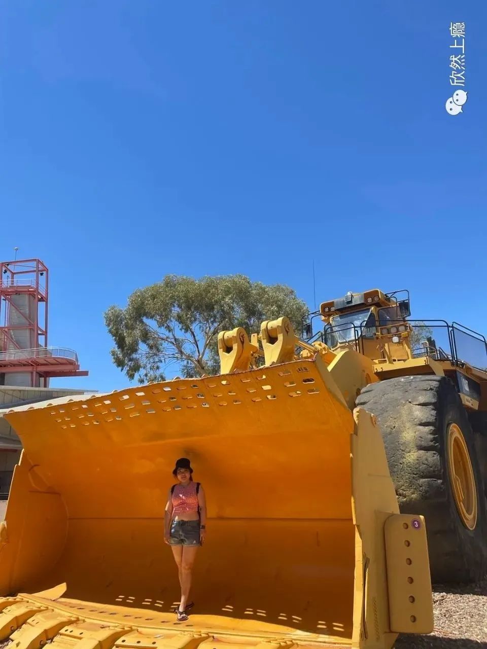 孤独的金矿小镇—西澳大利亚卡尔古利(Kalgoorlie)旅游攻略