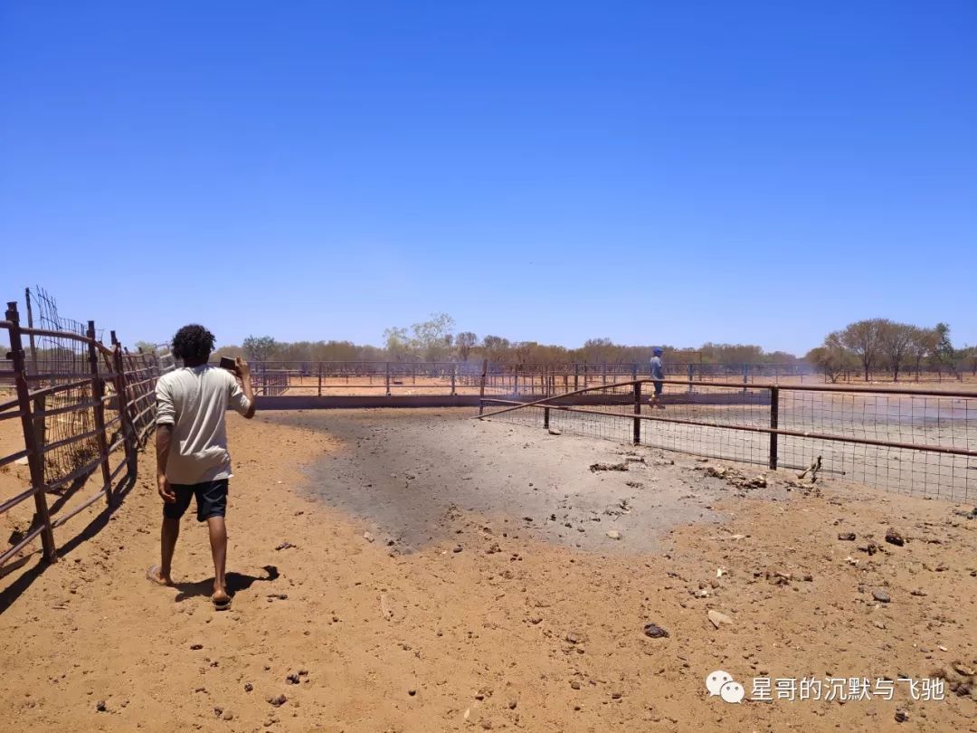 澳洲土著的日常：在红土沙漠里打猎...