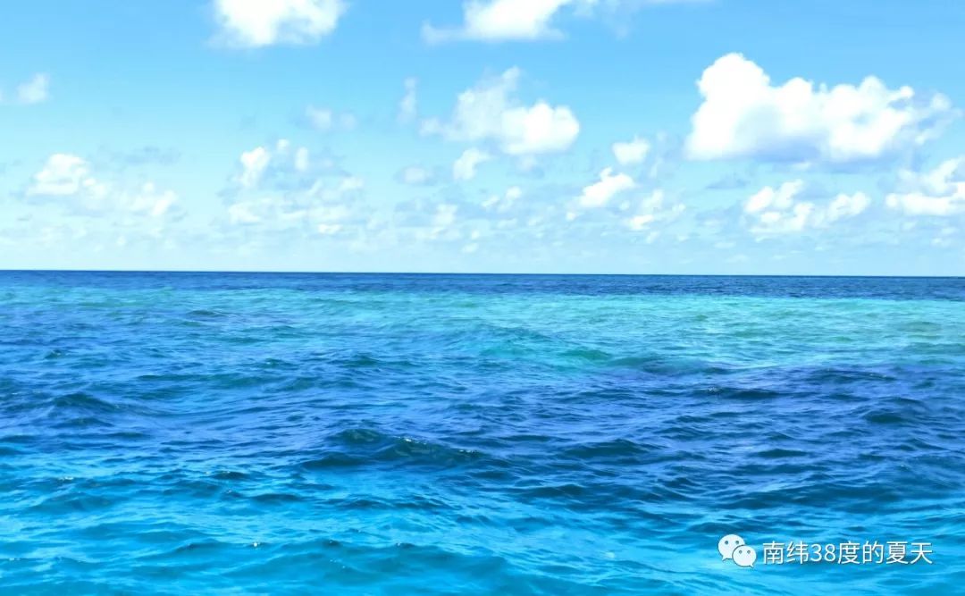 梦一般的换宿18天：摩托丛林穿越、大堡礁海钓了解一下？