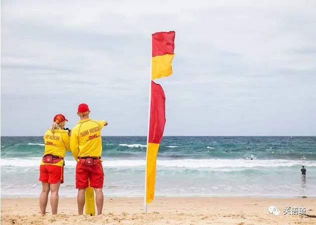 土澳海滩游泳前不看警示牌，惨遭水母咬伤！