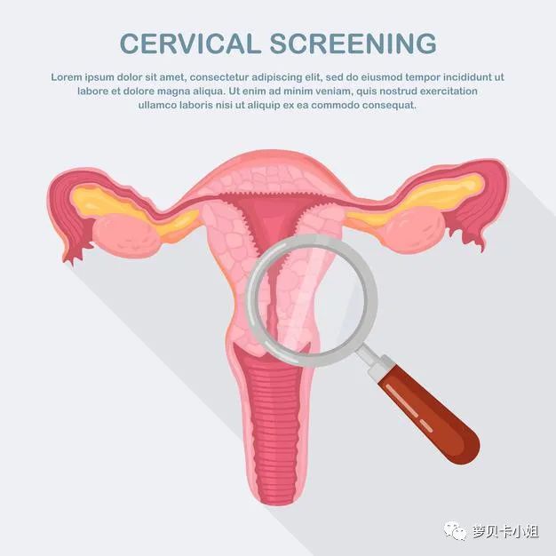 如何在澳洲做HPV宫颈癌筛查？
