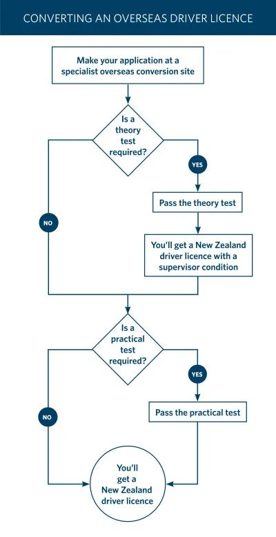 新西兰WHV期间，如何合法开车？附攻略