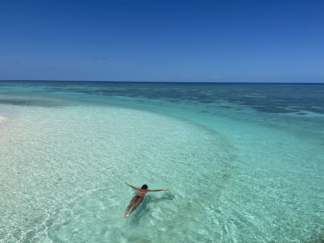 攻略来啦！大堡礁的小小岛Heron Island | 澳洲日志Ep.07