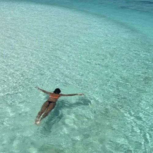 攻略来啦！大堡礁的小小岛Heron Island | 澳洲日志Ep.07