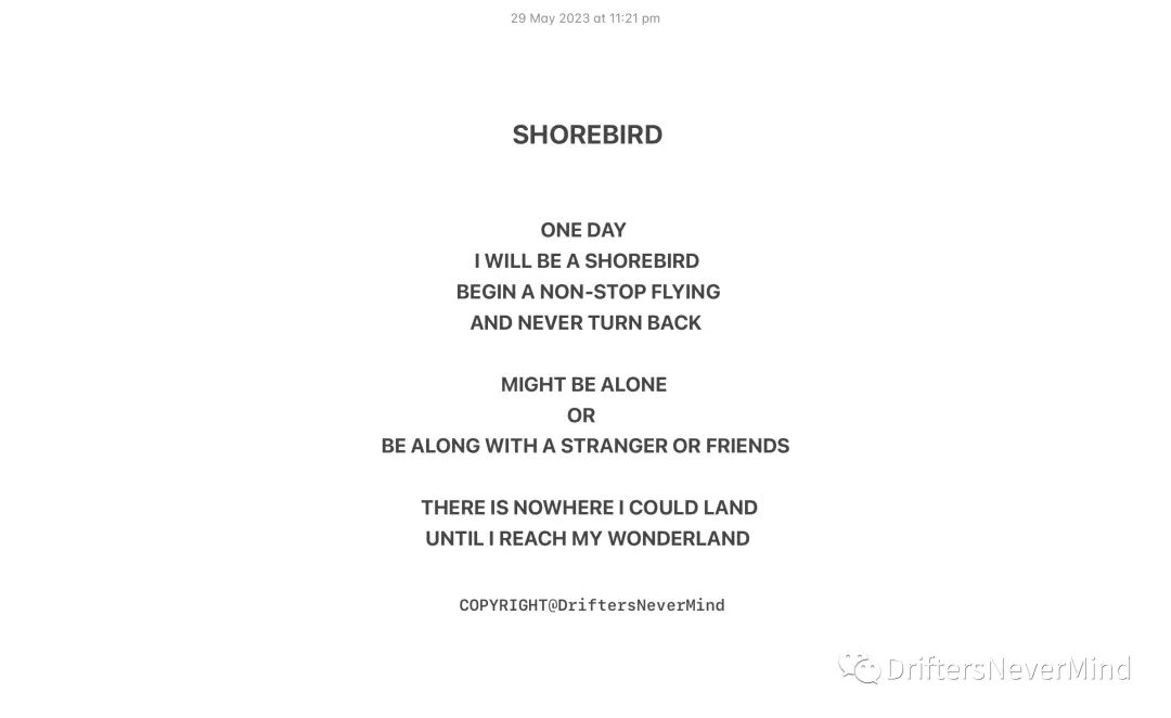 The Shorebird Quest