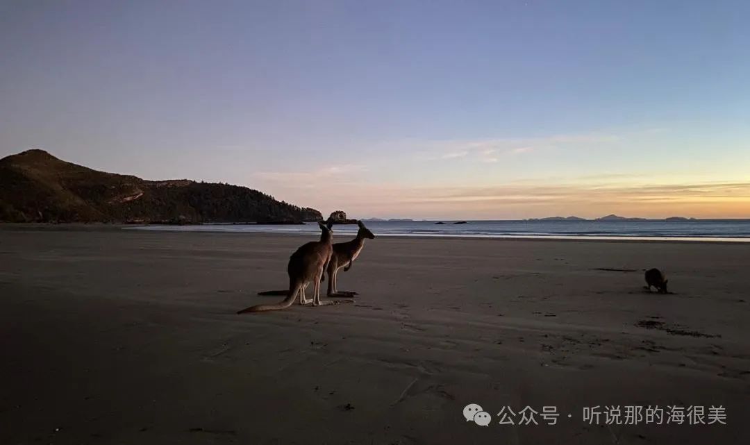 致三十了,出国了,却还是不太开心的女孩们